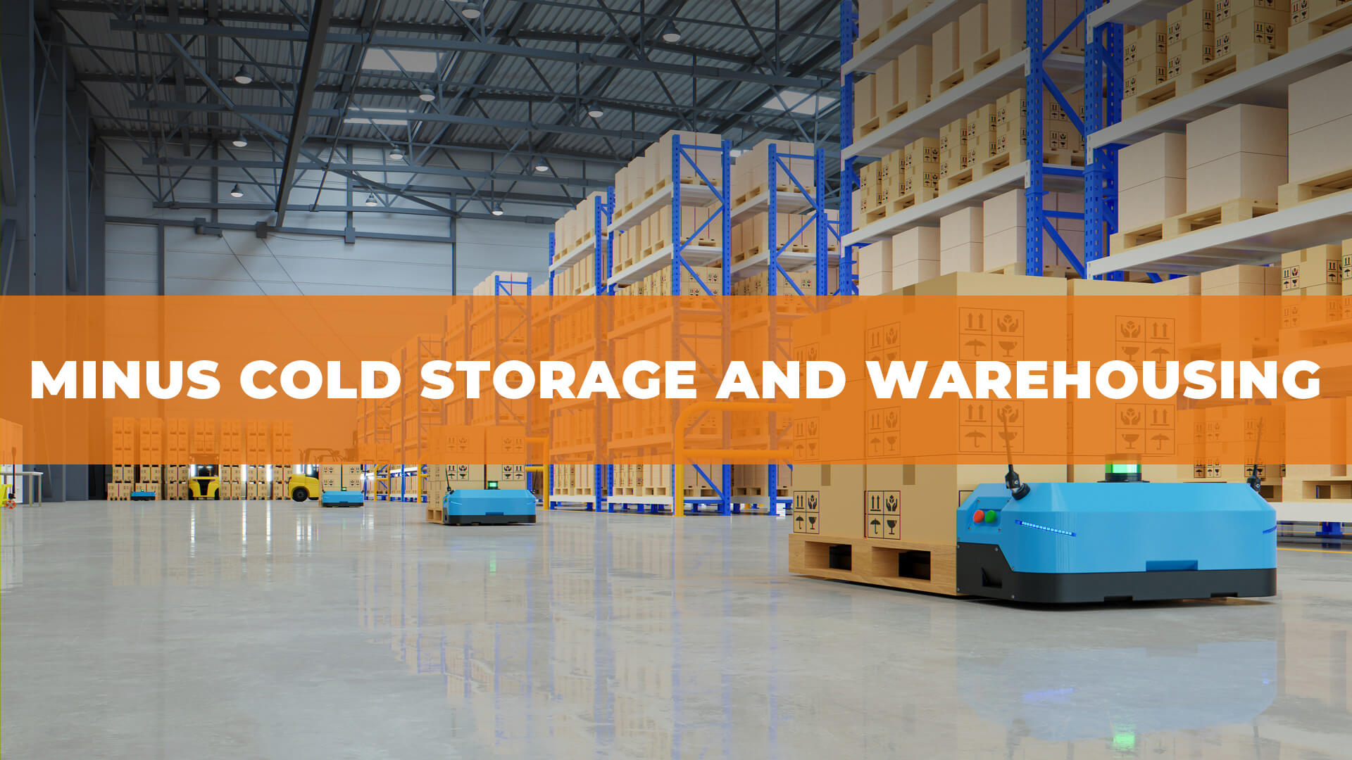 Minus Cold Storage and Warehousing